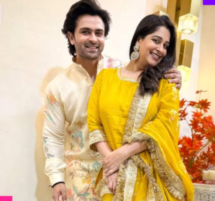 Celebrity MasterChef star Dipika Kakar pens a heartfelt note for Shoaib Ibrahim on wedding anniversary;